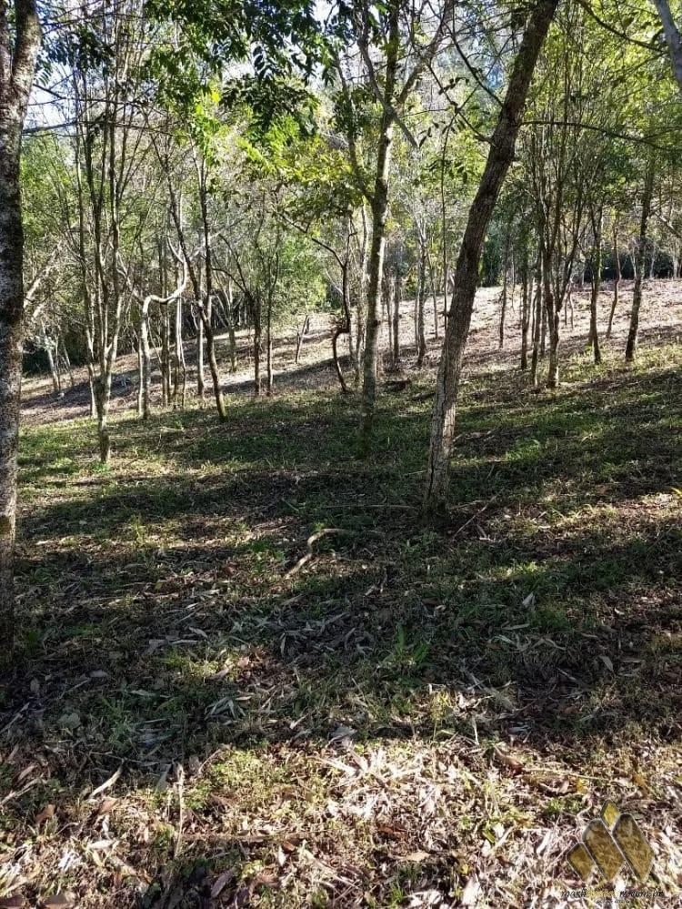 Terrenos Renascença 
