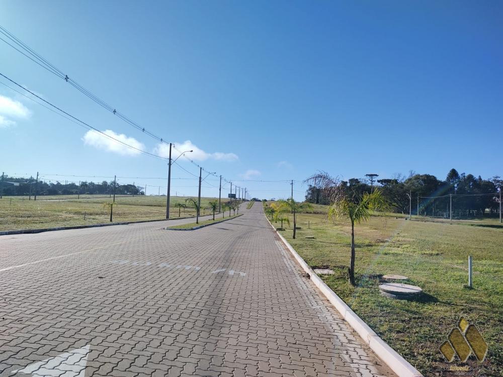 Loteamento Parque das Palmeiras 