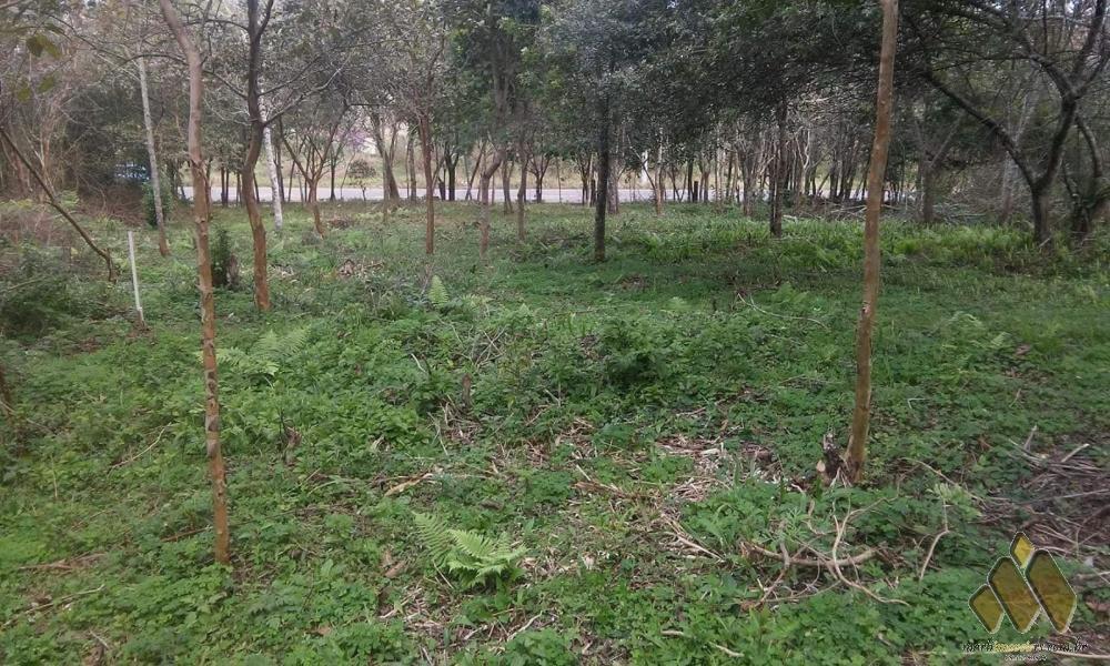Terrenos Renascença 